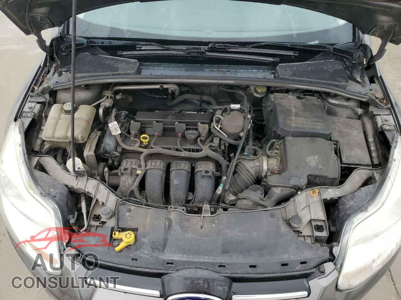 FORD FOCUS 2013 - 1FADP3E21DL293801