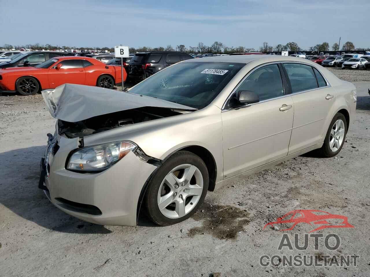 CHEVROLET MALIBU 2010 - 1G1ZB5EB1AF124875