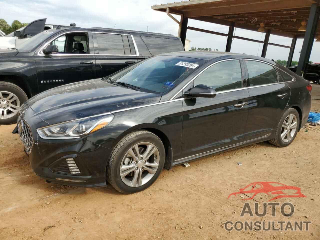 HYUNDAI SONATA 2019 - 5NPE34AF4KH773230