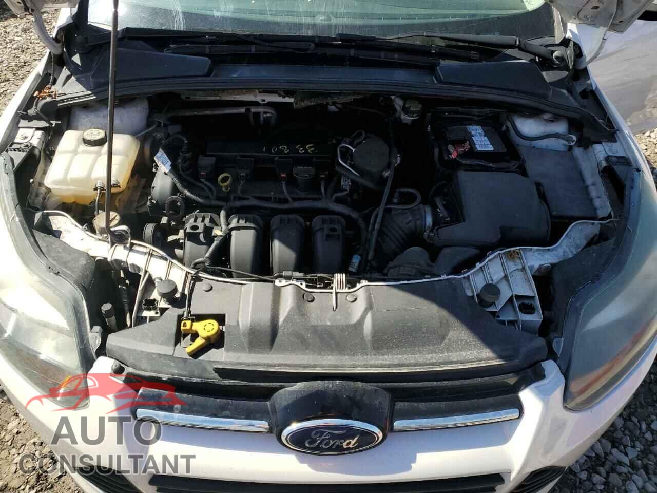 FORD FOCUS 2014 - 1FADP3J22EL135247