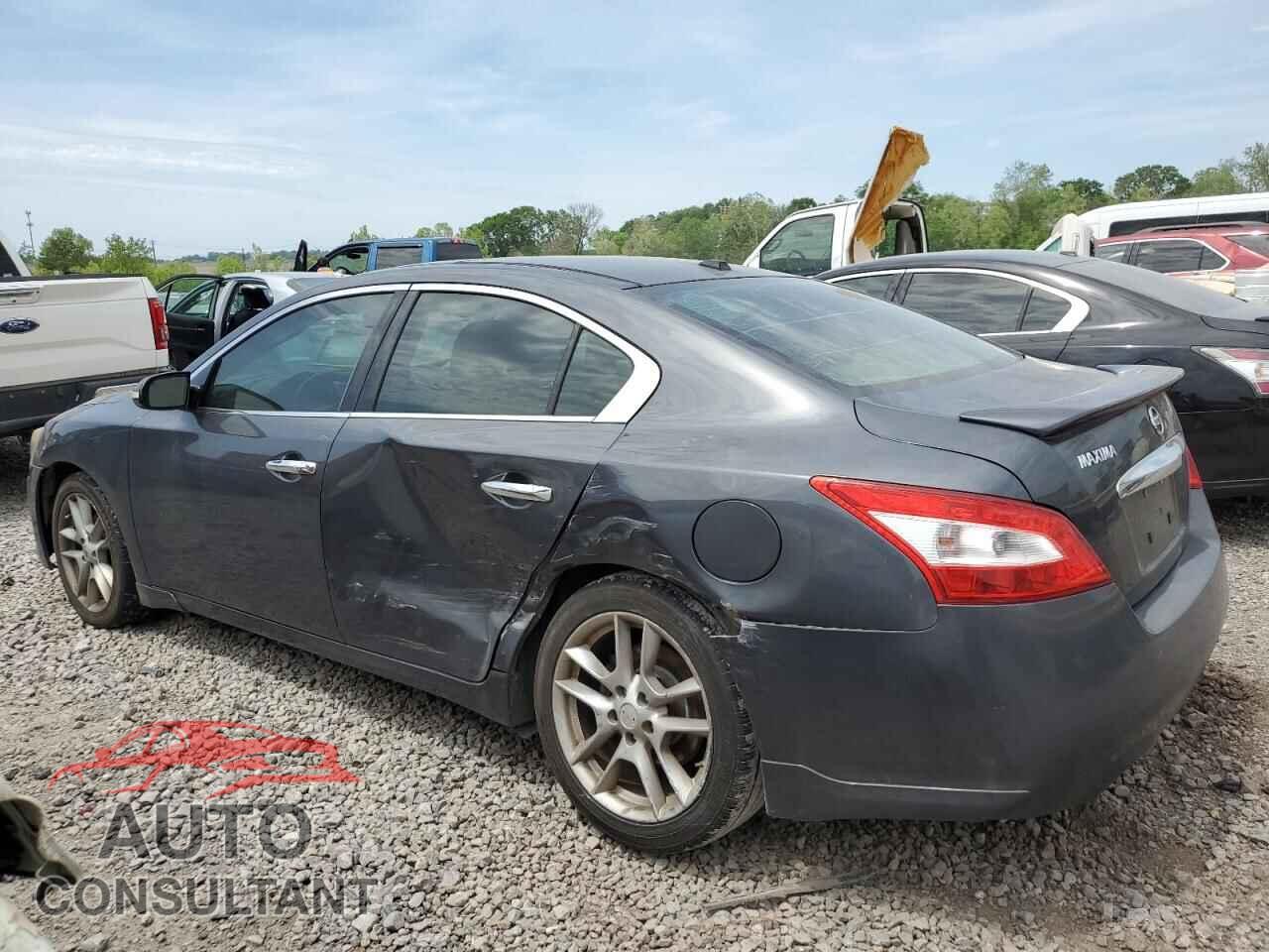NISSAN MAXIMA 2011 - 1N4AA5AP3BC810157