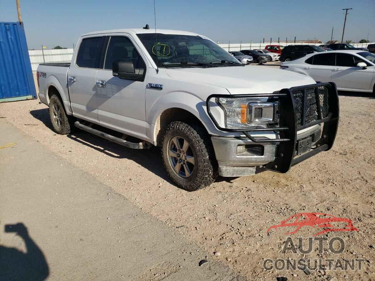 FORD F-150 2019 - 1FTEW1EP4KKE58969