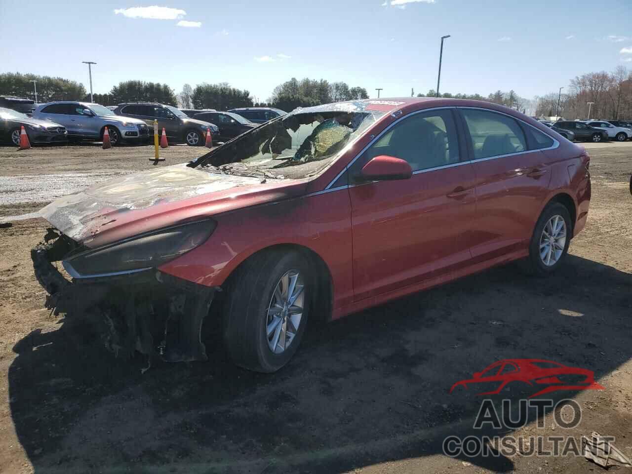 HYUNDAI SONATA 2019 - 5NPE24AF0KH773521