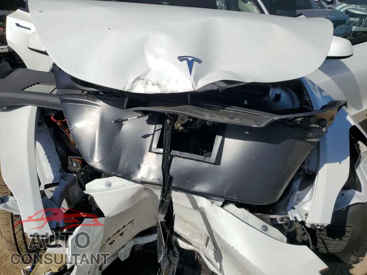 TESLA MODEL Y 2024 - 7SAYGDEE0RF081948