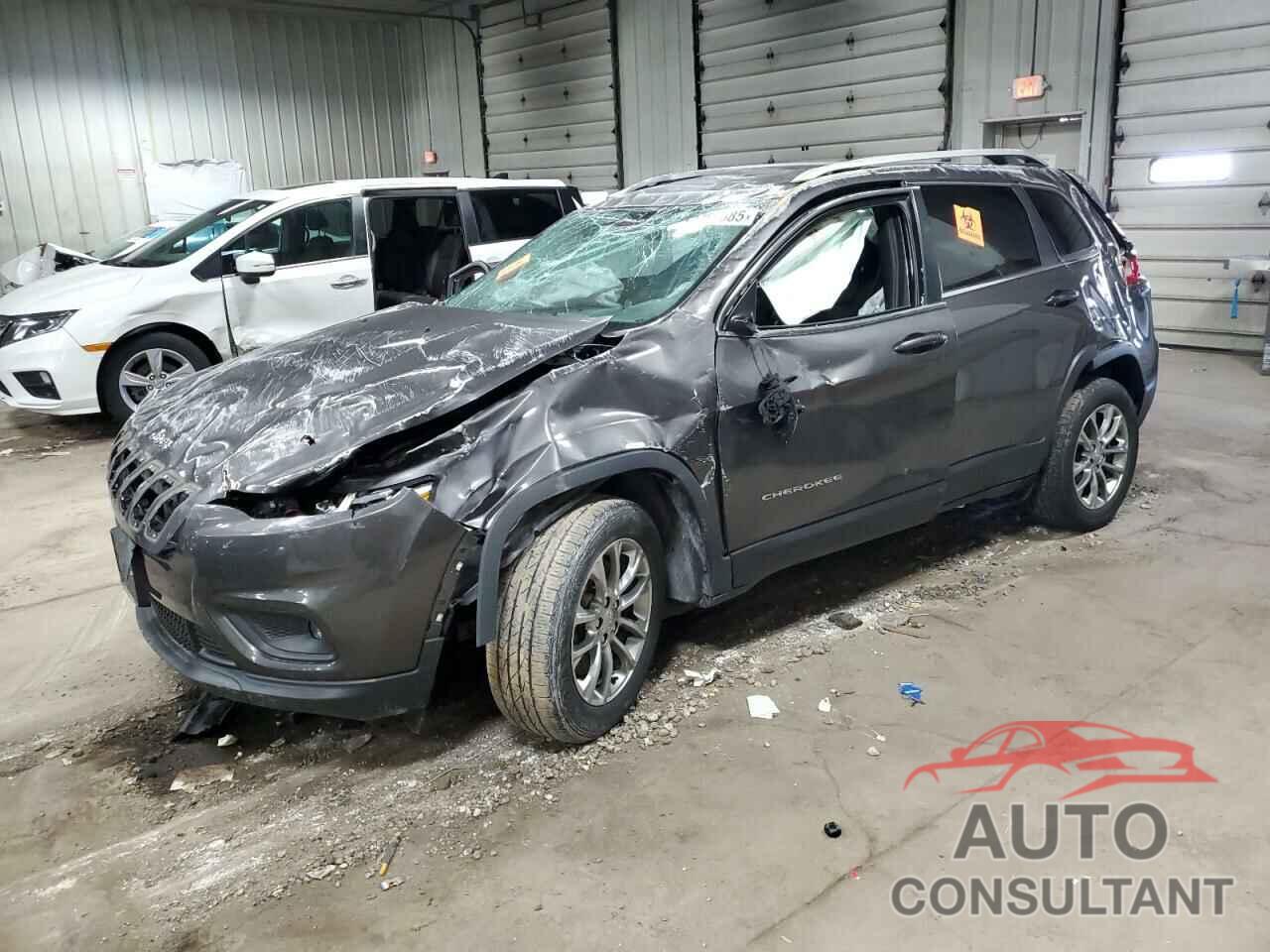 JEEP GRAND CHER 2019 - 1C4PJLLB4KD146049