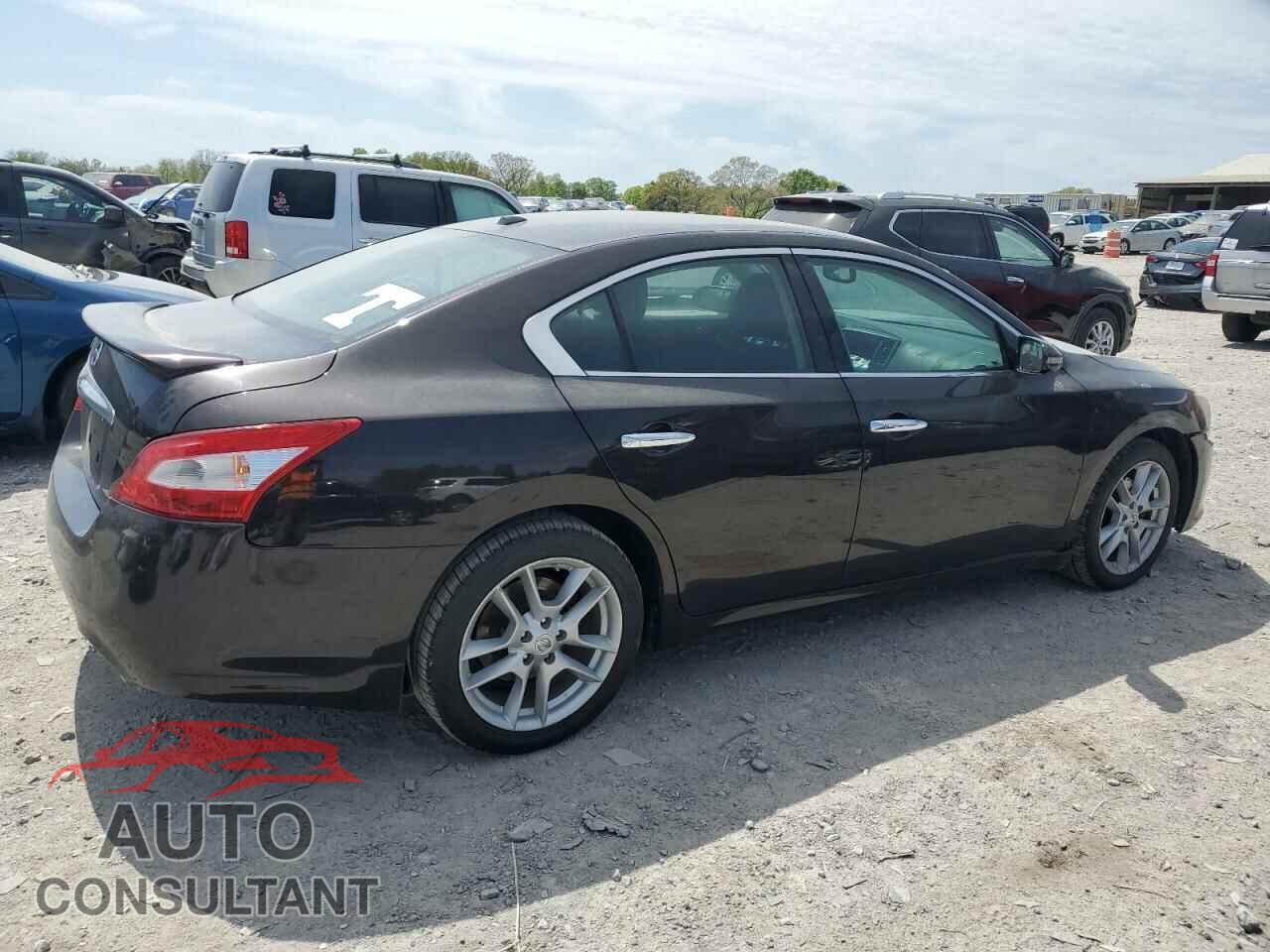 NISSAN MAXIMA 2011 - 1N4AA5AP8BC808856