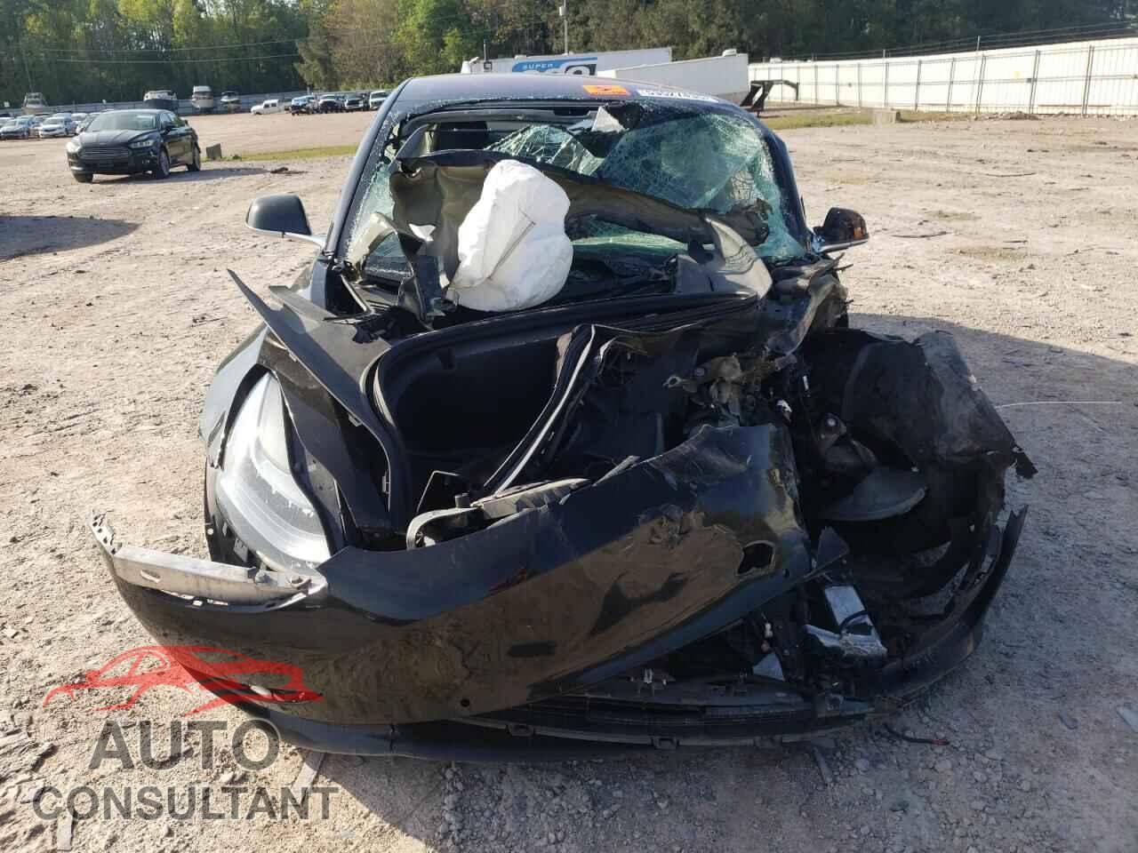 TESLA MODEL 3 2019 - 5YJ3E1EA1KF300916