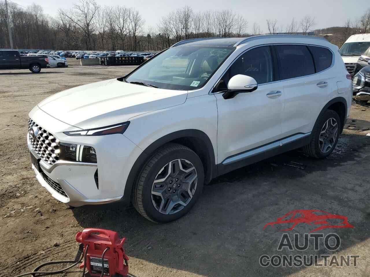 HYUNDAI SANTA FE 2022 - KM8S7DA29NU043890