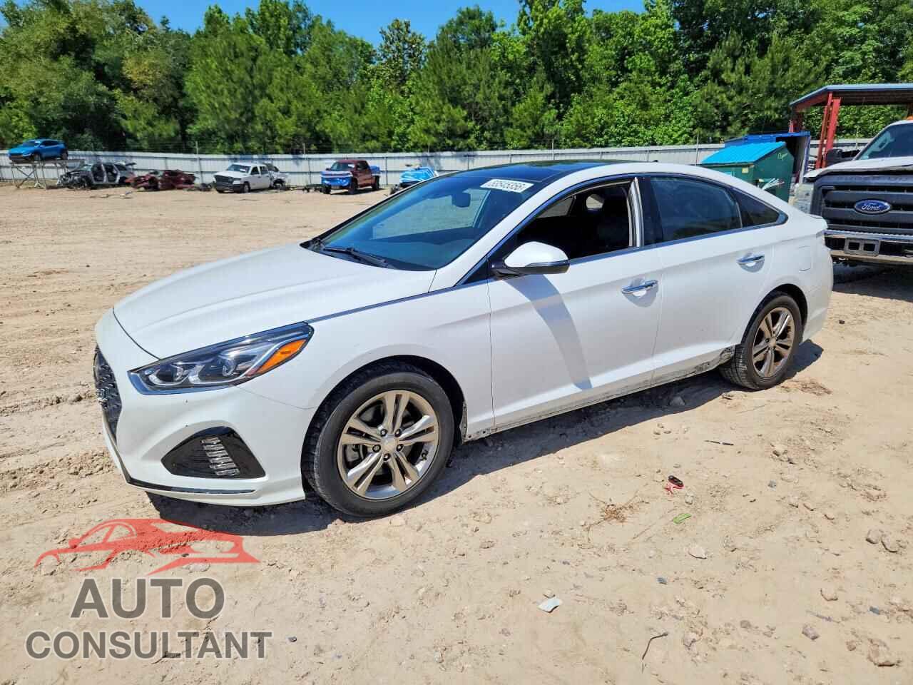 HYUNDAI SONATA 2019 - 5NPE34AF2KH746348