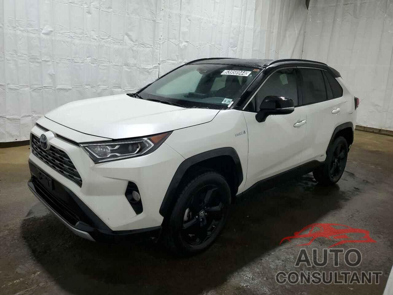 TOYOTA RAV4 2019 - 2T3EWRFV2KW017912
