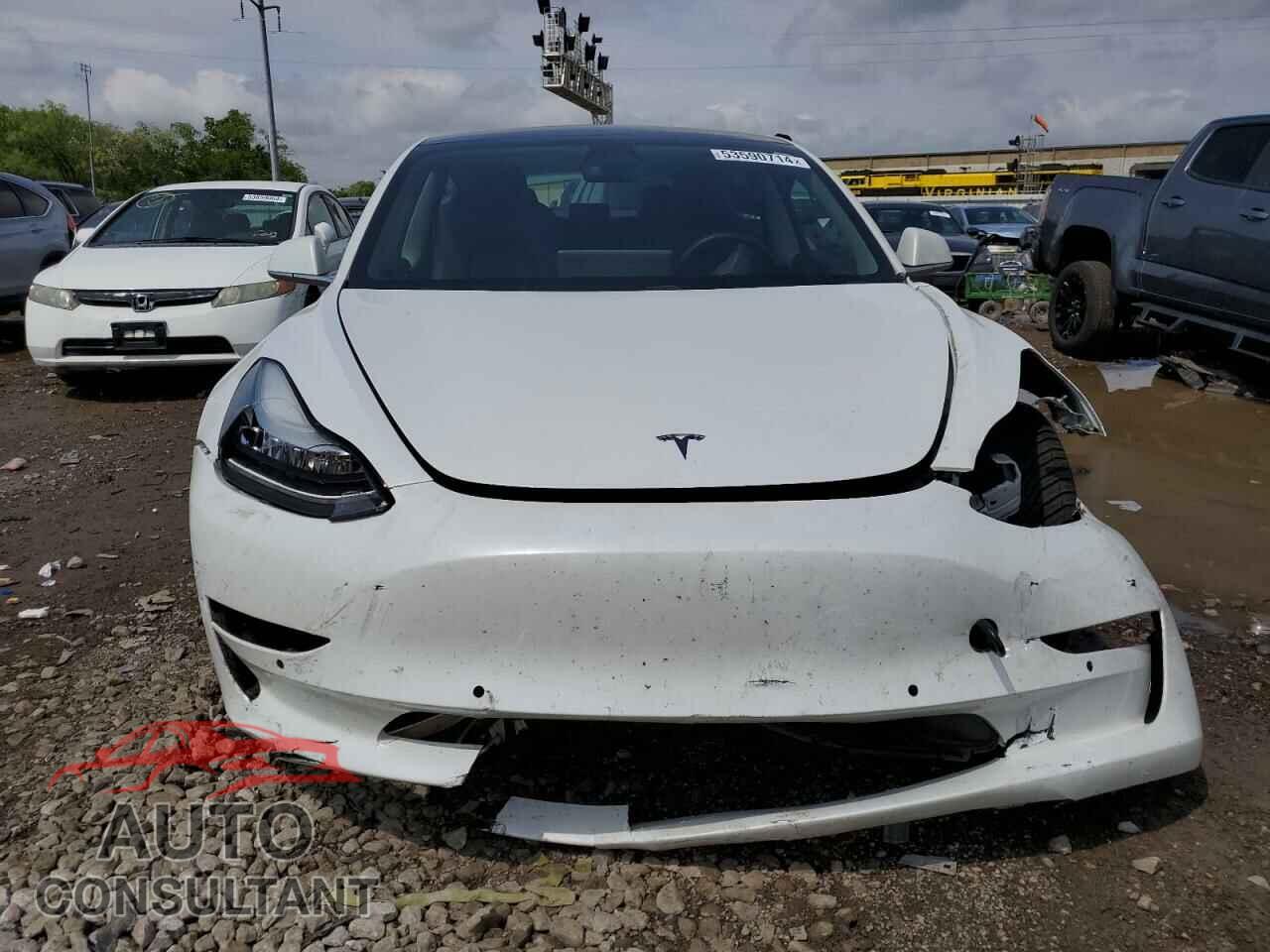 TESLA MODEL 3 2019 - 5YJ3E1EB0KF433241