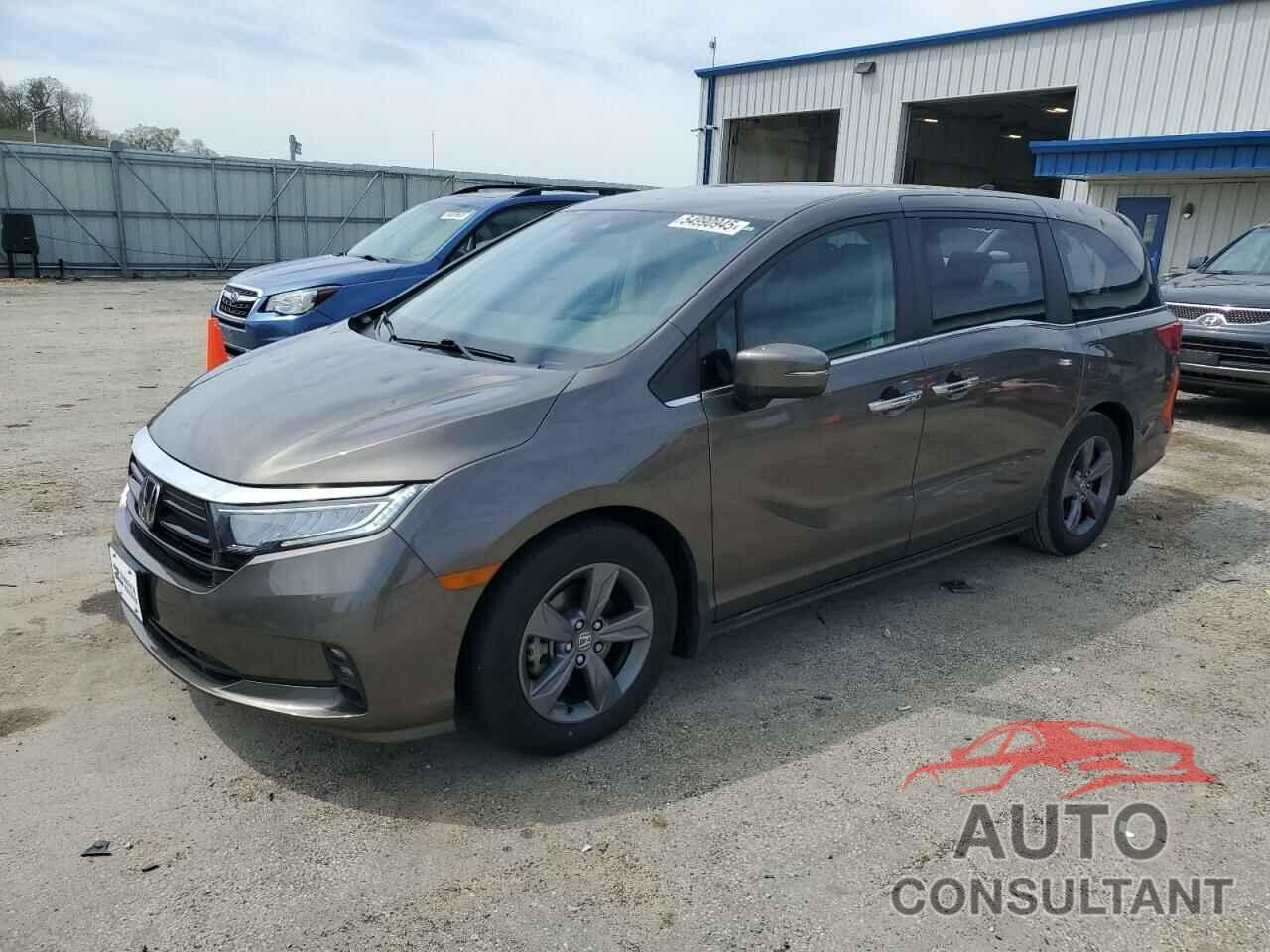 HONDA All Models 2021 - 5FNRL6H5XMB019406