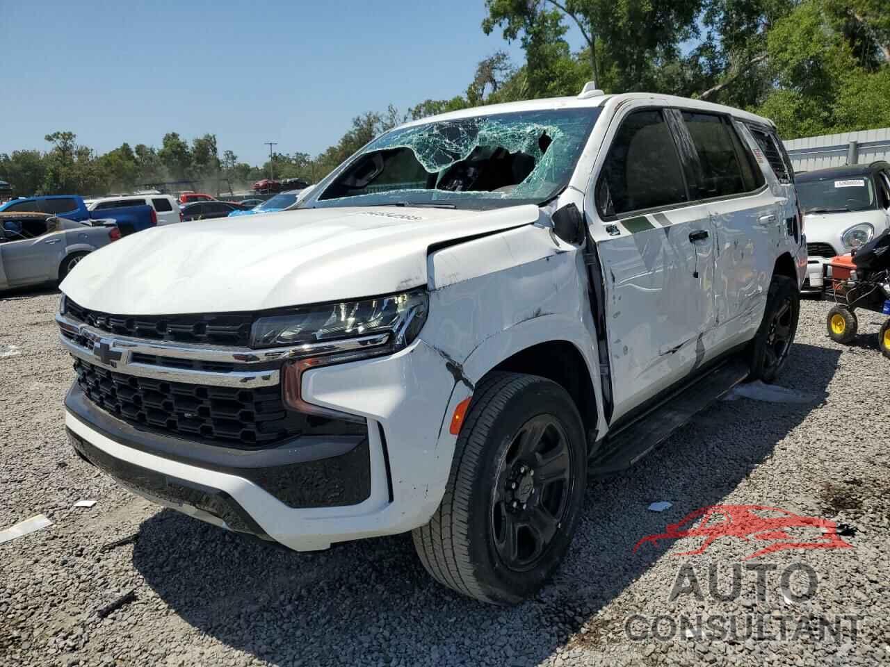 CHEVROLET TAHOE 2024 - 1GBSCLEDXRR178685