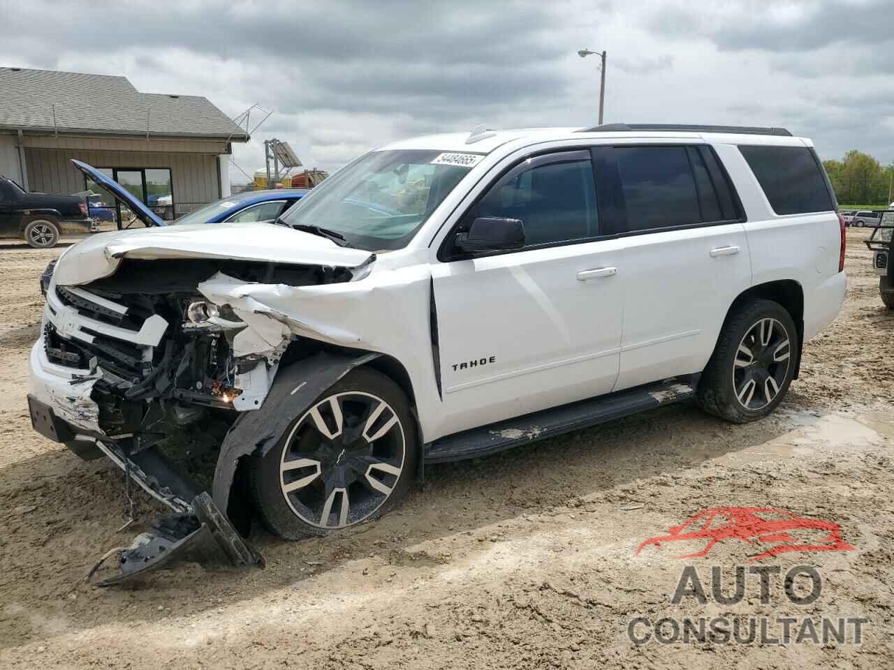 CHEVROLET TAHOE 2019 - 1GNSKCKJ3KR220037