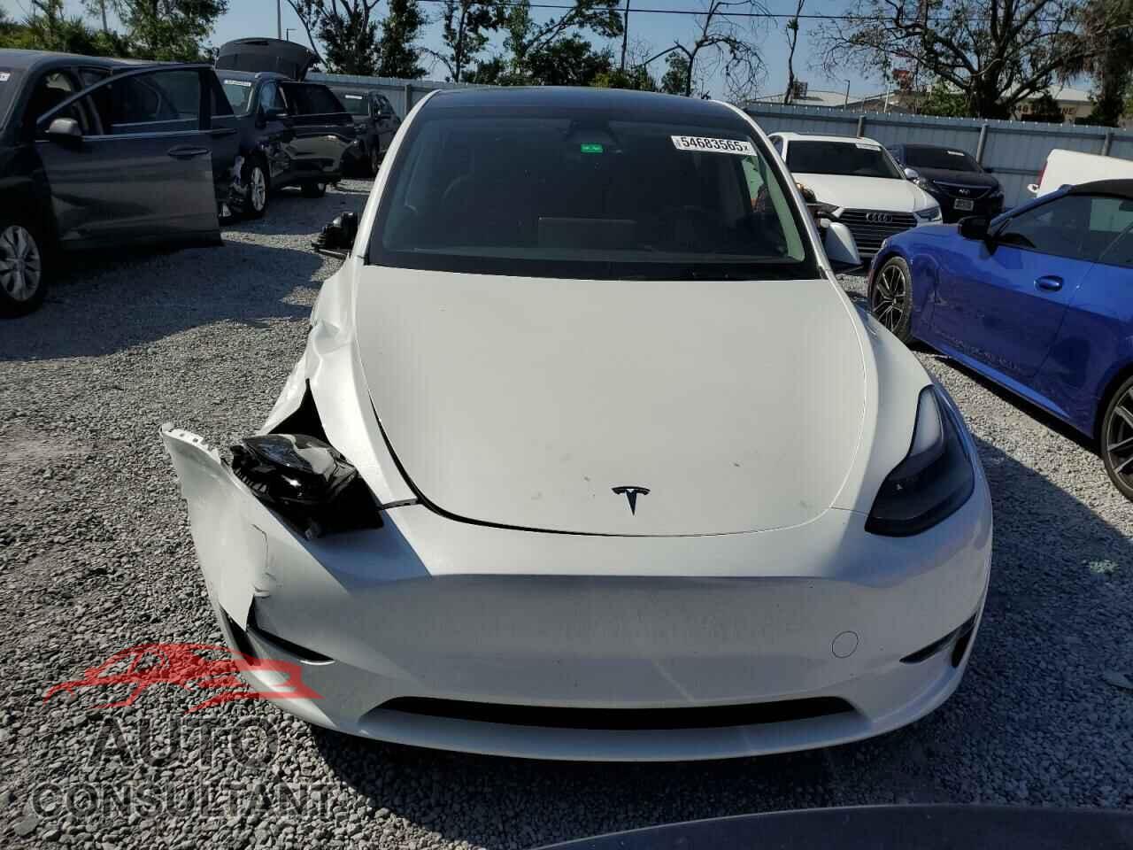 TESLA MODEL Y 2024 - 7SAYGDED3RF131376