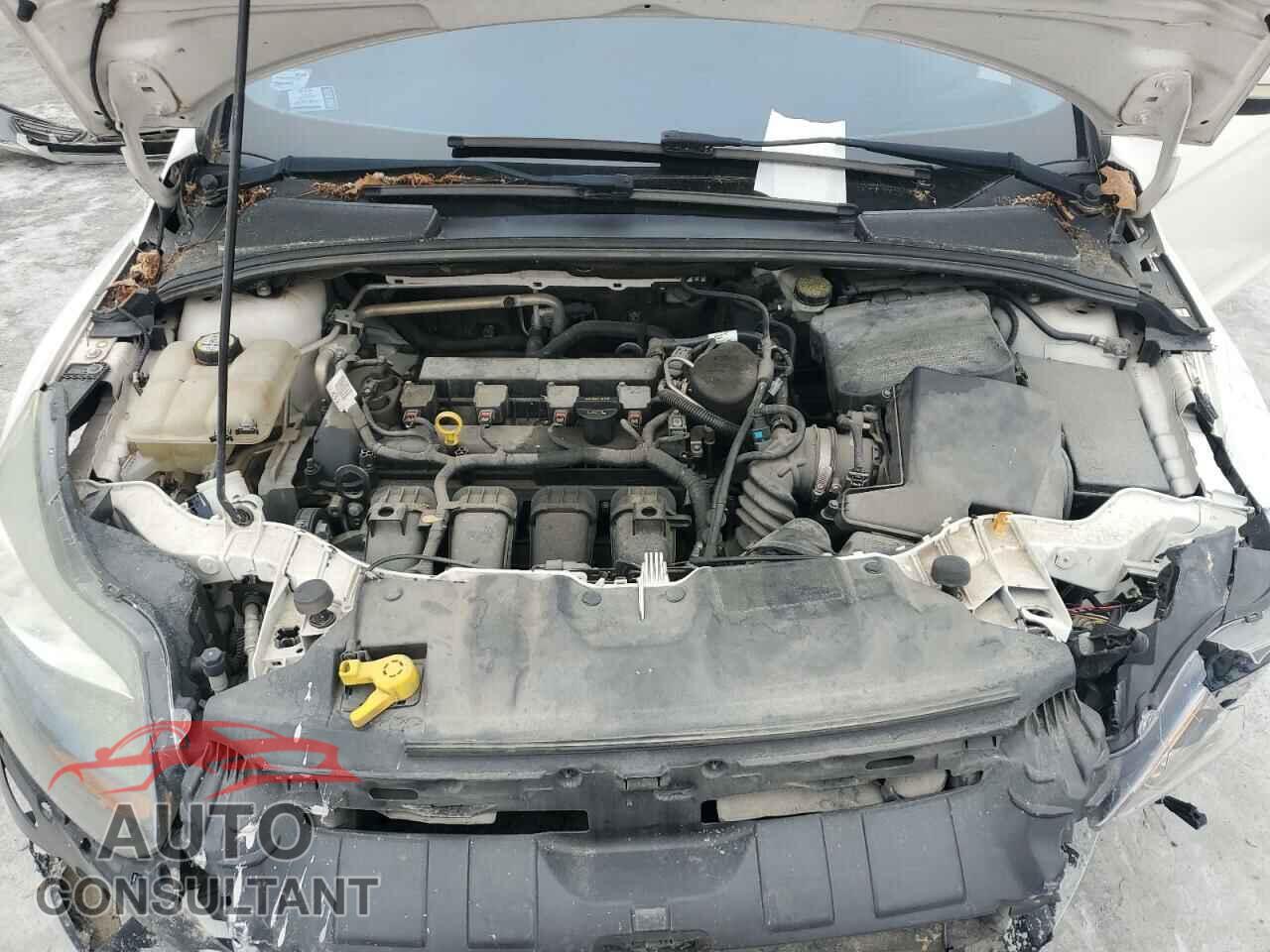 FORD FOCUS 2012 - 1FAHP3J2XCL461604