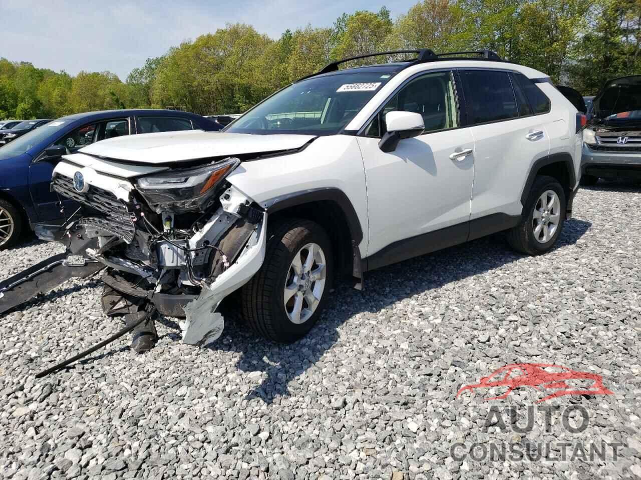 TOYOTA RAV4 2023 - JTMD6RFV1PD112350