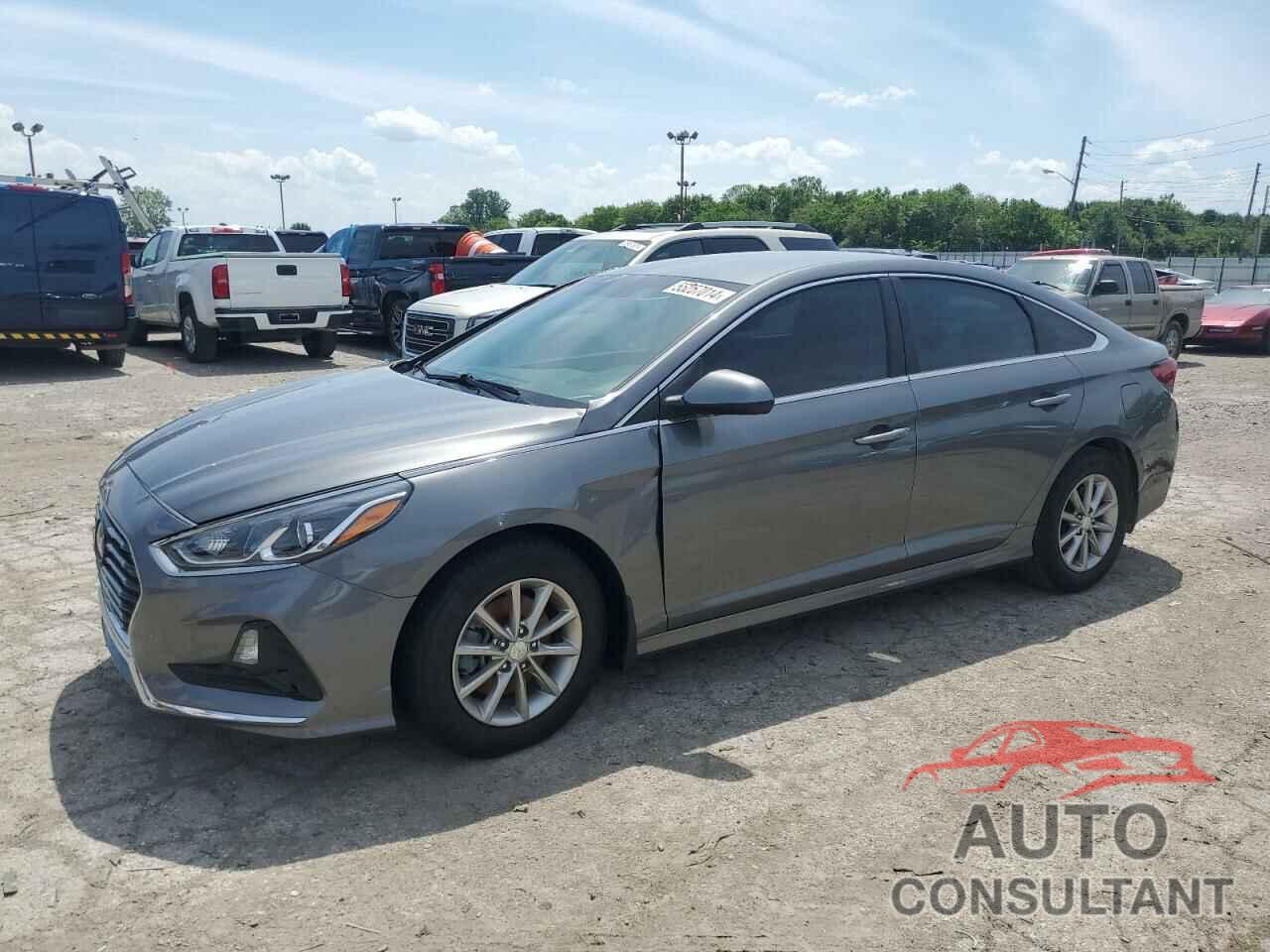 HYUNDAI SONATA 2019 - 5NPE24AF9KH804782