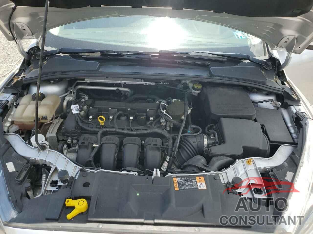 FORD FOCUS 2016 - 1FADP3F26GL321188