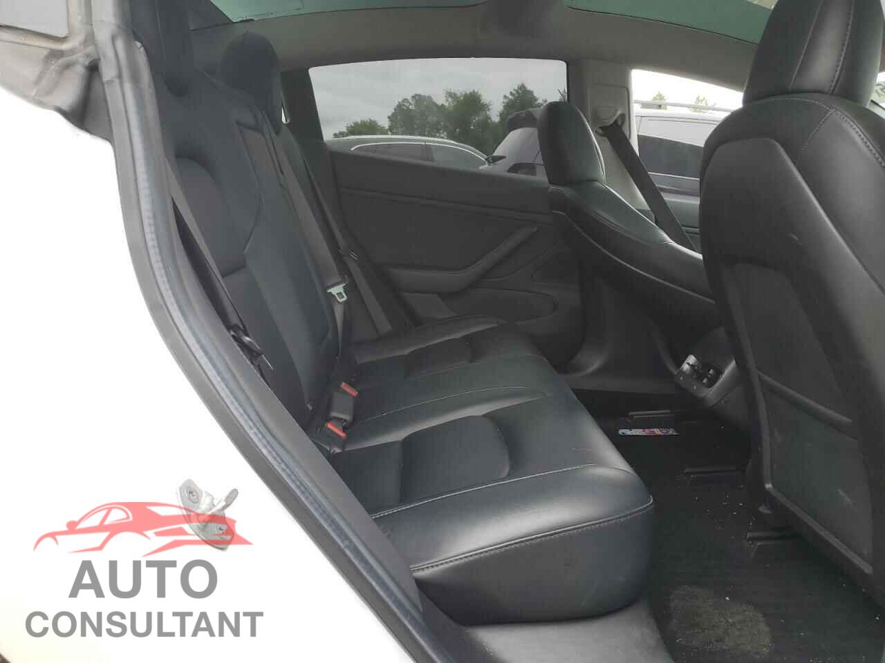 TESLA MODEL 3 2019 - 5YJ3E1EA2KF464627