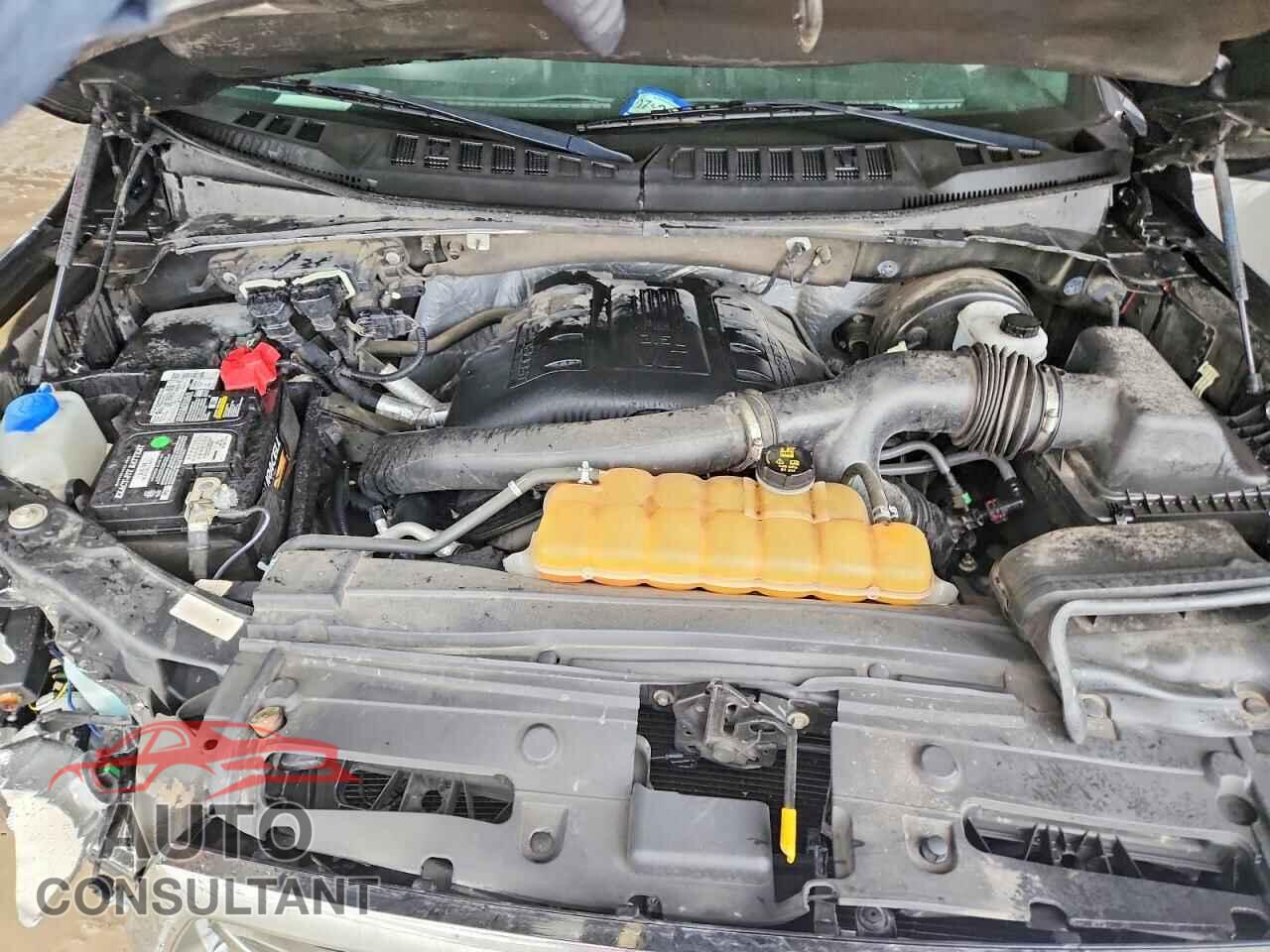 FORD F150 2015 - 1FTEW1CG5FKD65791