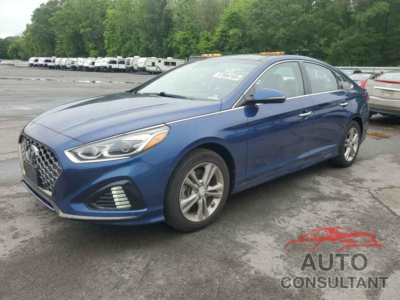 HYUNDAI SONATA 2019 - 5NPE34AF9KH732494