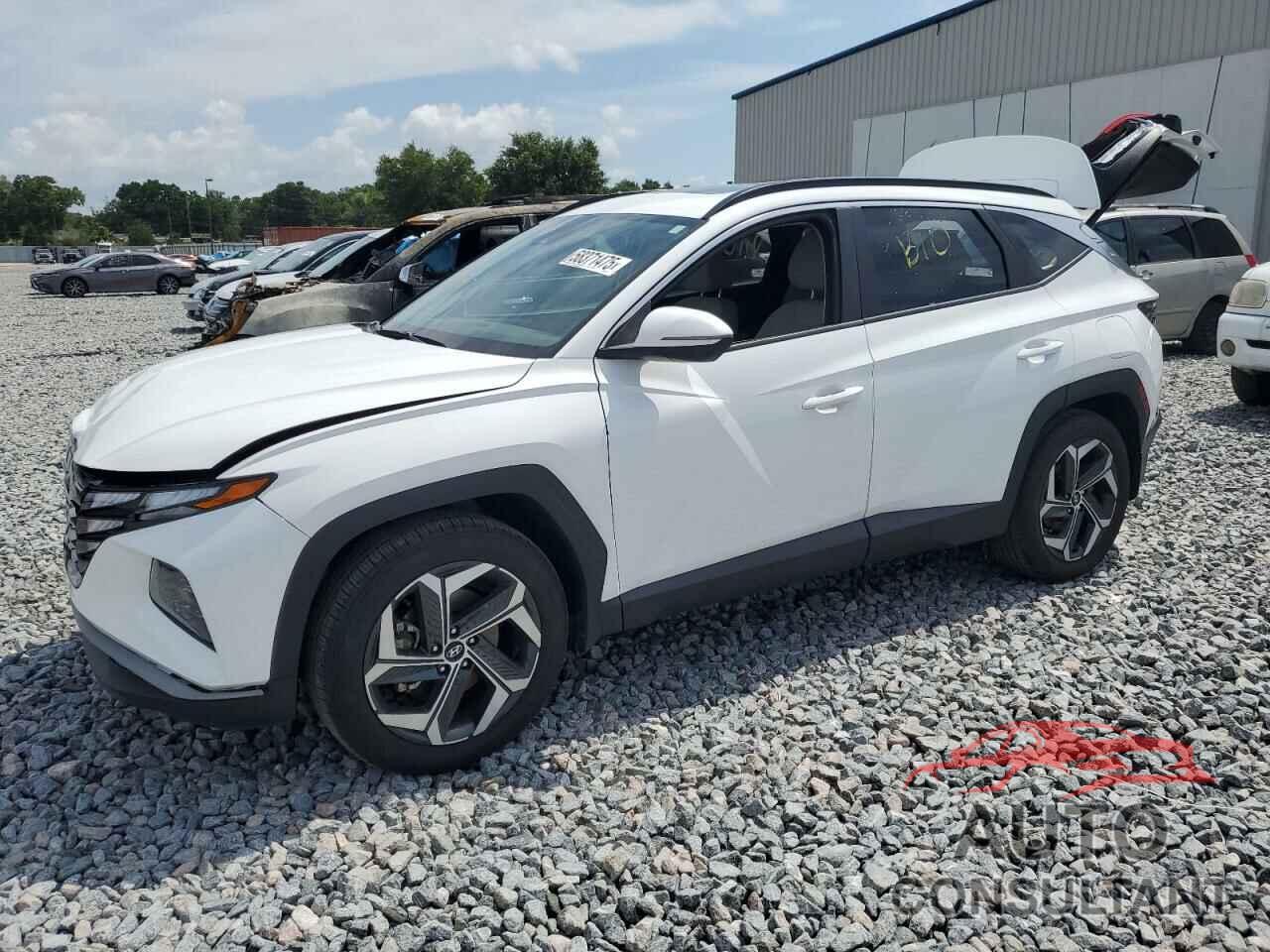 HYUNDAI TUCSON 2024 - 5NMJF3DE8RH365372