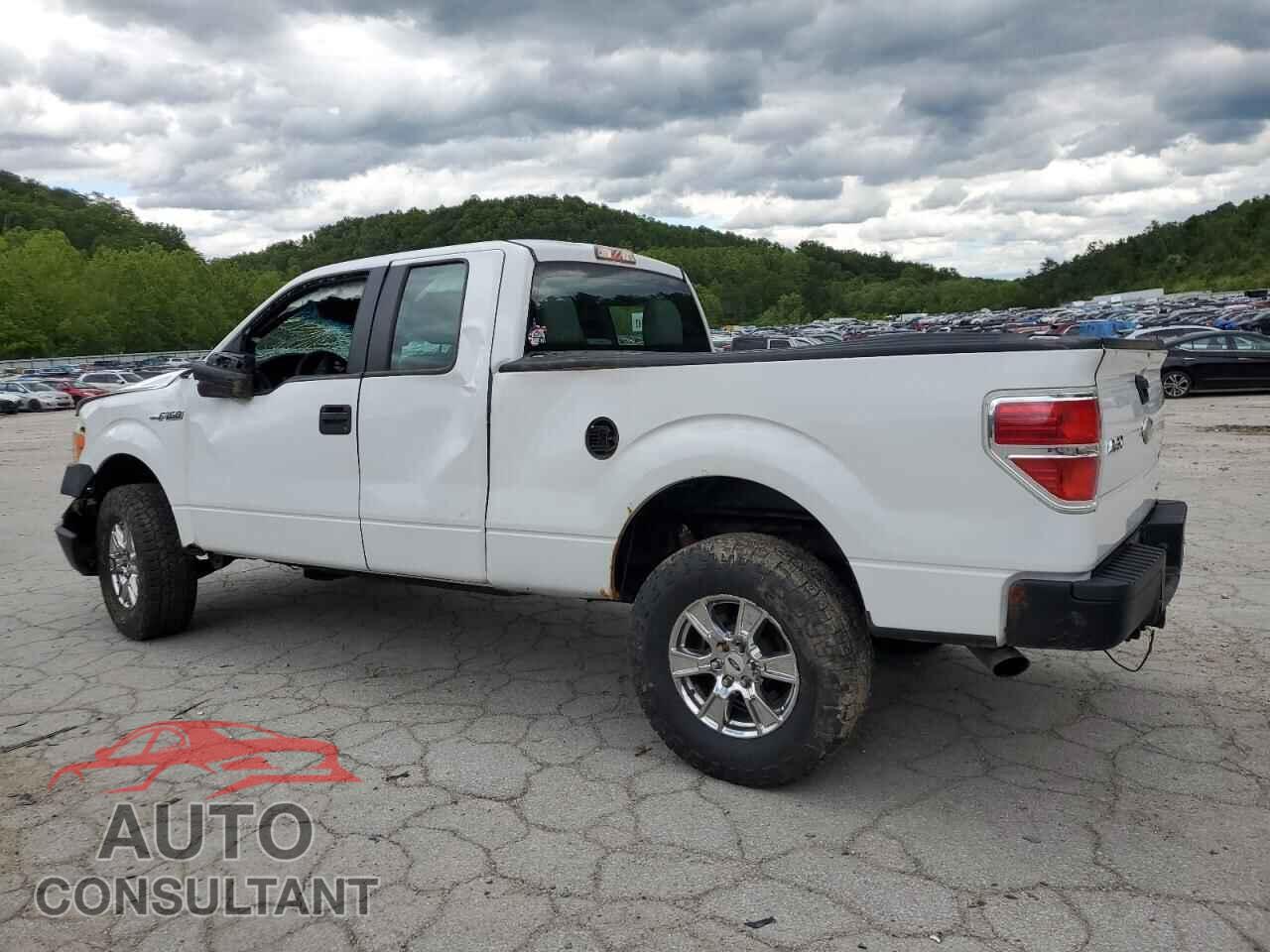 FORD F-150 2011 - 1FTFX1EF8BFC64009