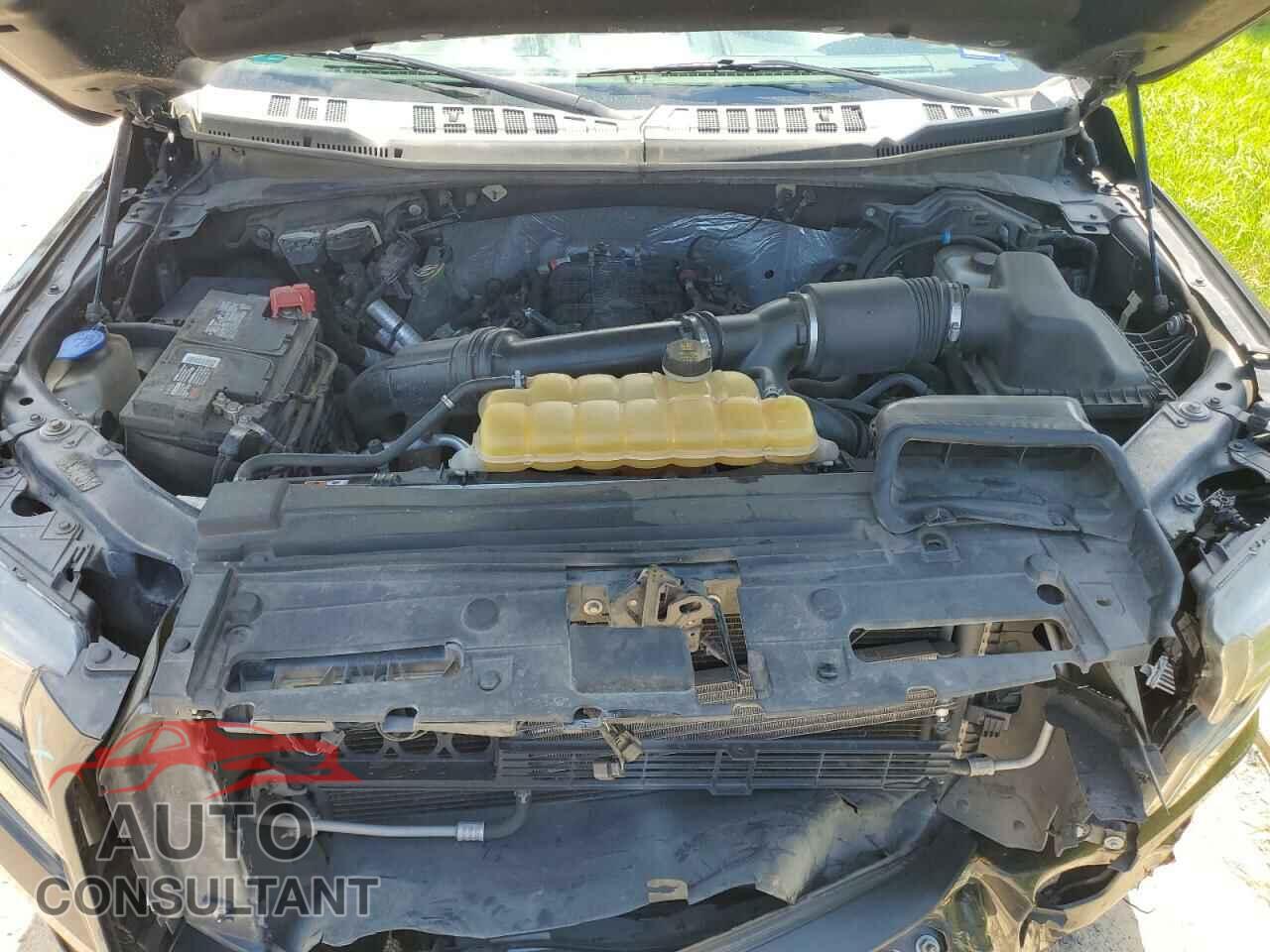 FORD F-150 2017 - 1FTEW1EGXHFB20008