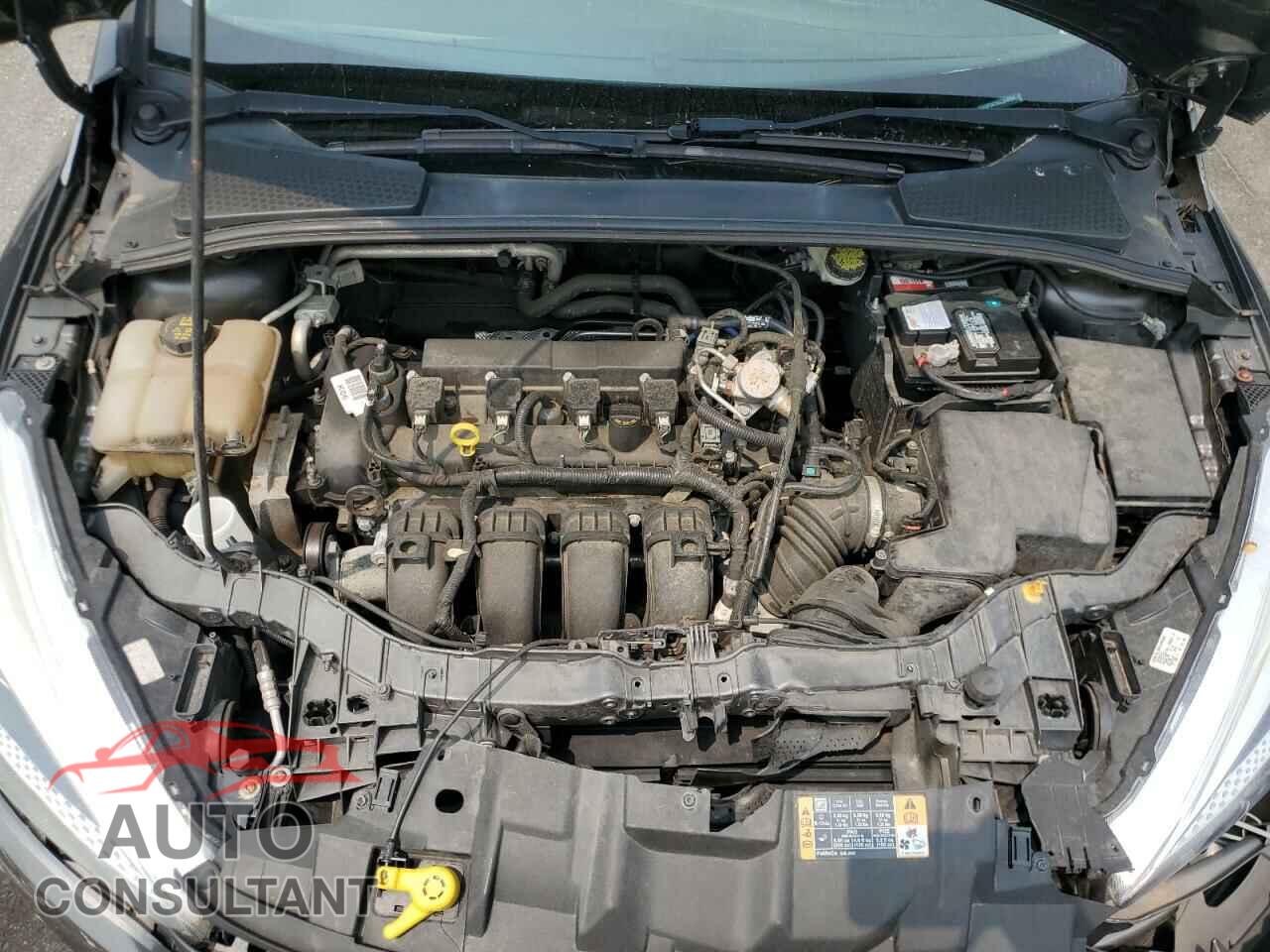 FORD FOCUS 2016 - 1FADP3K29GL344924