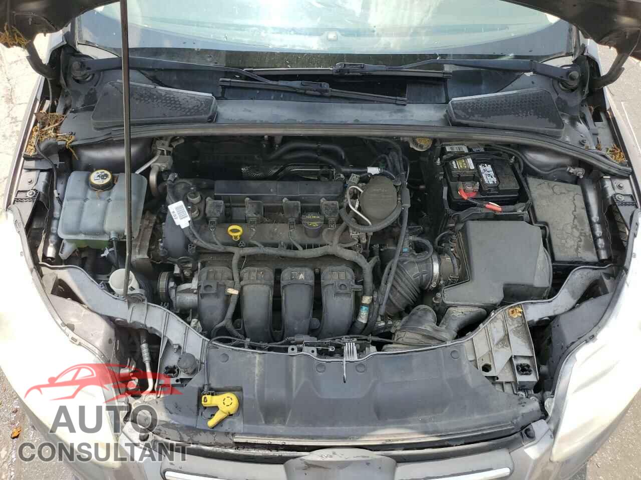 FORD FOCUS 2012 - 1FAHP3F22CL431070