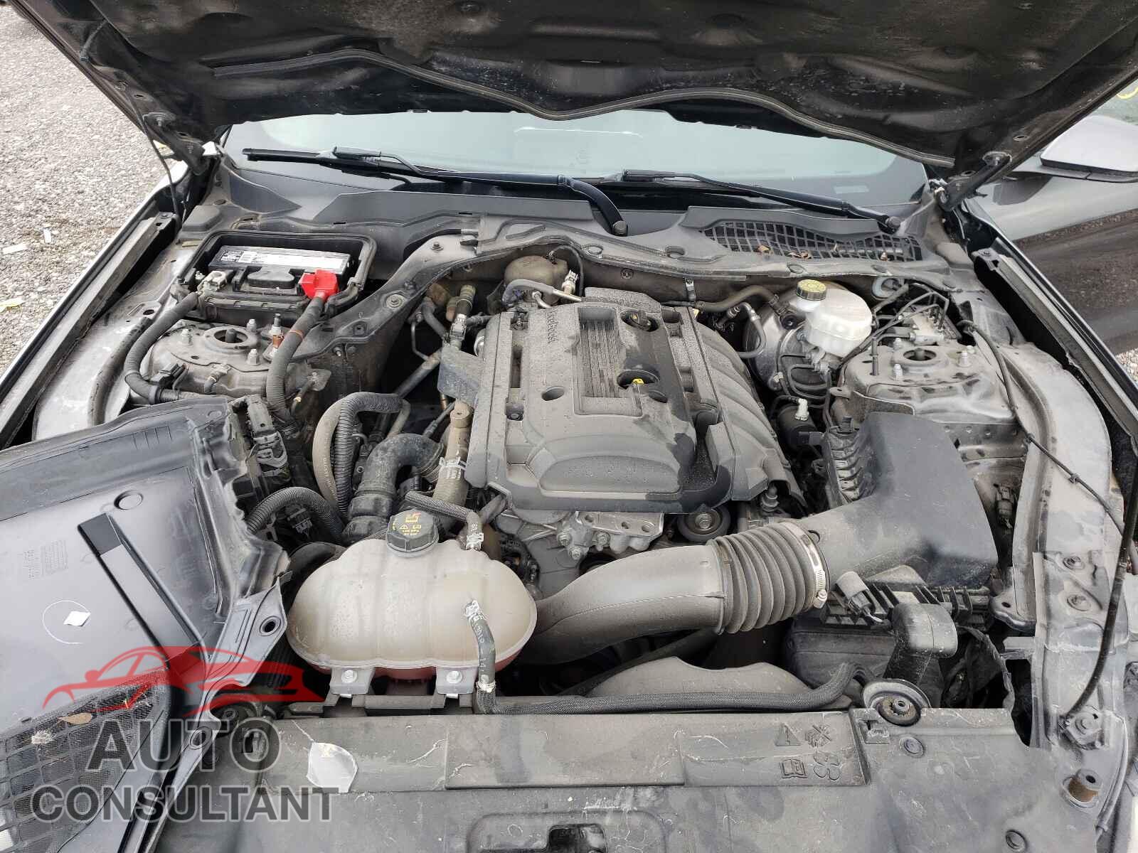 FORD MUSTANG 2019 - 1FA6P8TH0K5118048