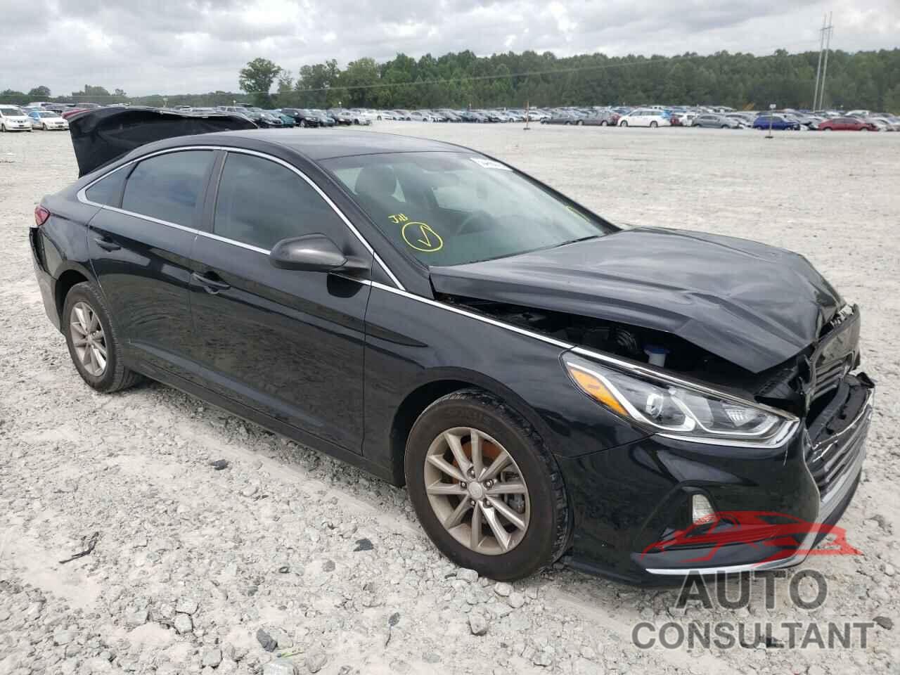 HYUNDAI SONATA 2019 - 5NPE24AF6KH762099