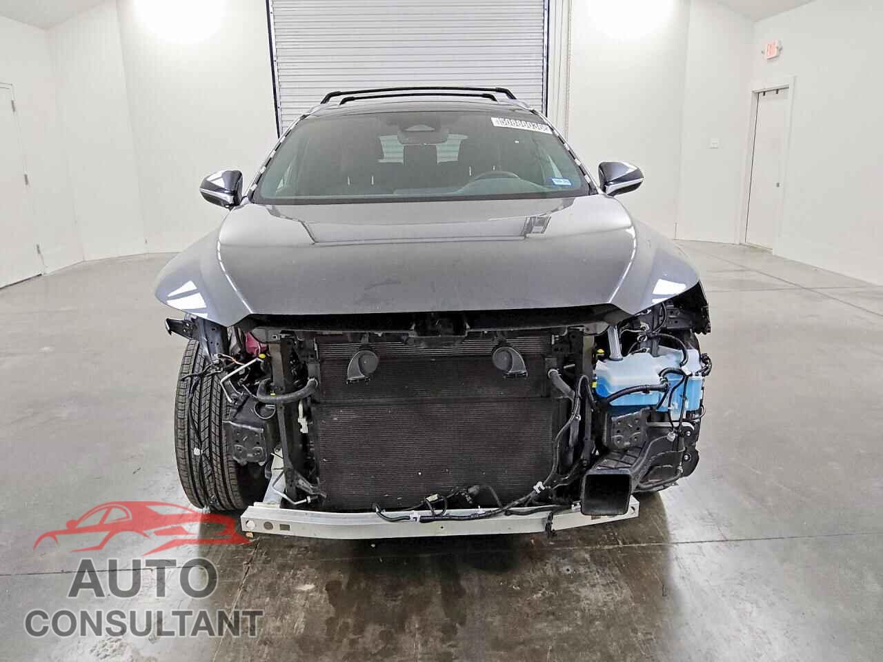 LEXUS UNKNOWN 2024 - 2T2BBMCA7RC045448