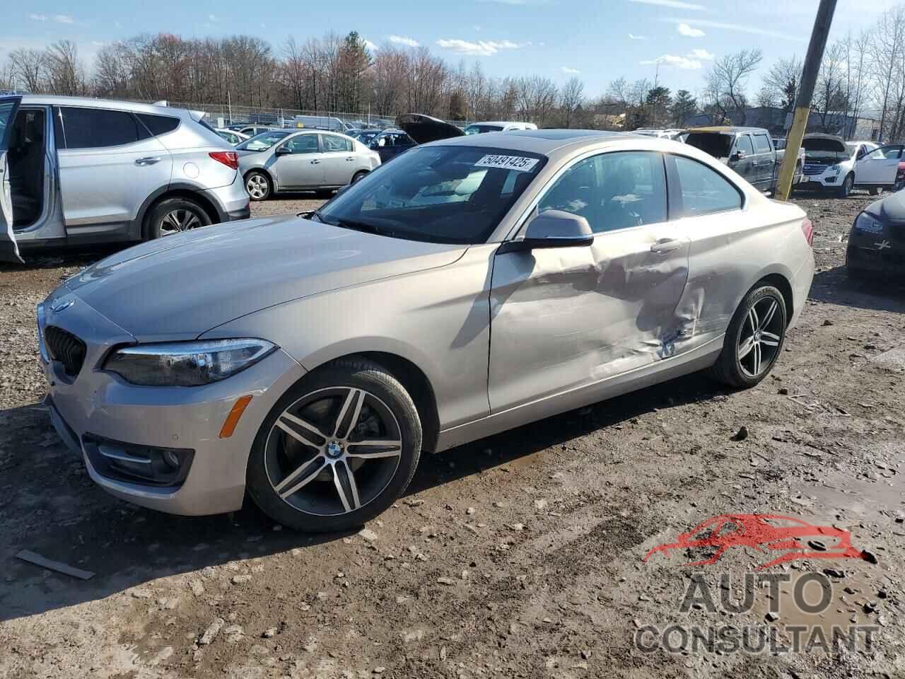 BMW 2 SERIES 2017 - WBA2F9C58HV664464
