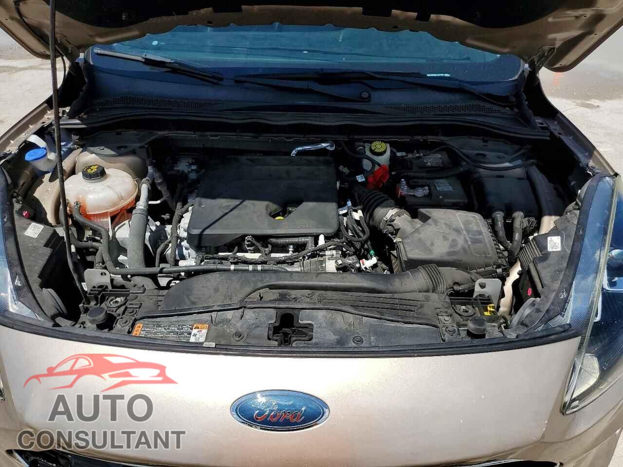 FORD ESCAPE 2020 - 1FMCU0H66LUA47259