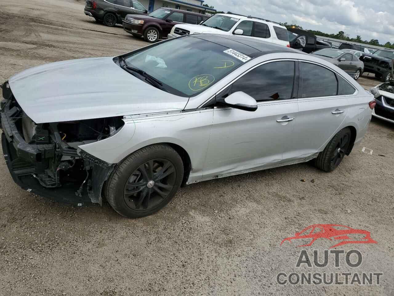 HYUNDAI SONATA 2019 - 5NPE34AF1KH799008