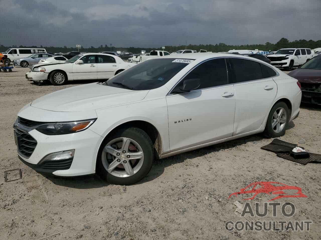 CHEVROLET MALIBU 2019 - 1G1ZB5ST5KF215565