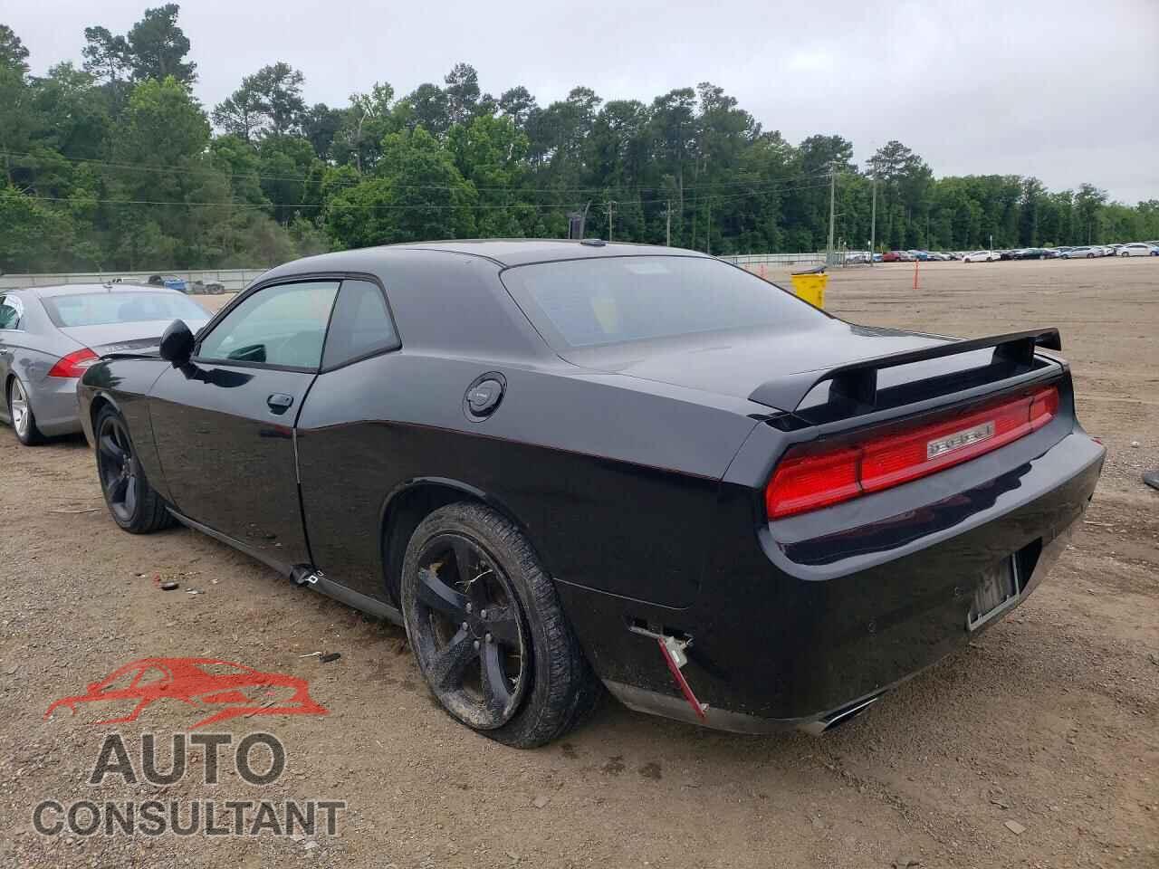 DODGE CHALLENGER 2013 - 2C3CDYBTXDH641430