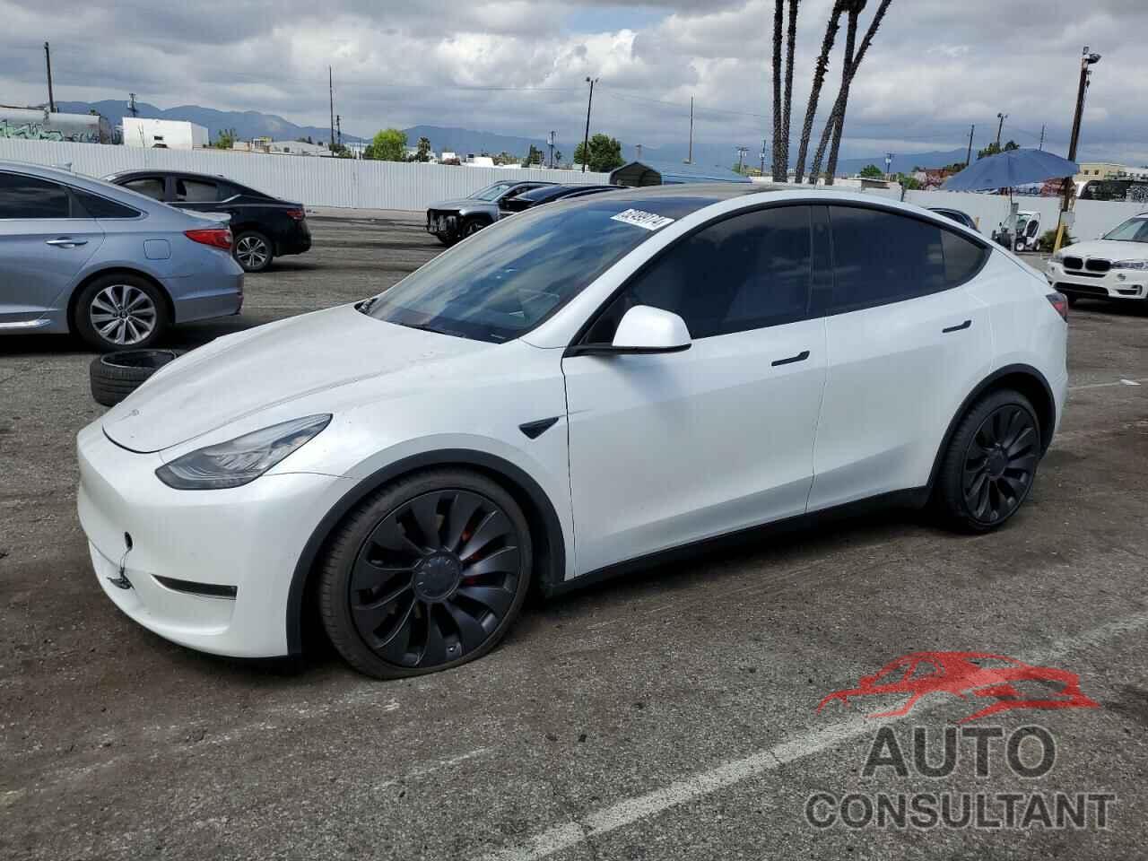 TESLA MODEL Y 2021 - 5YJYGDEF9MF093031