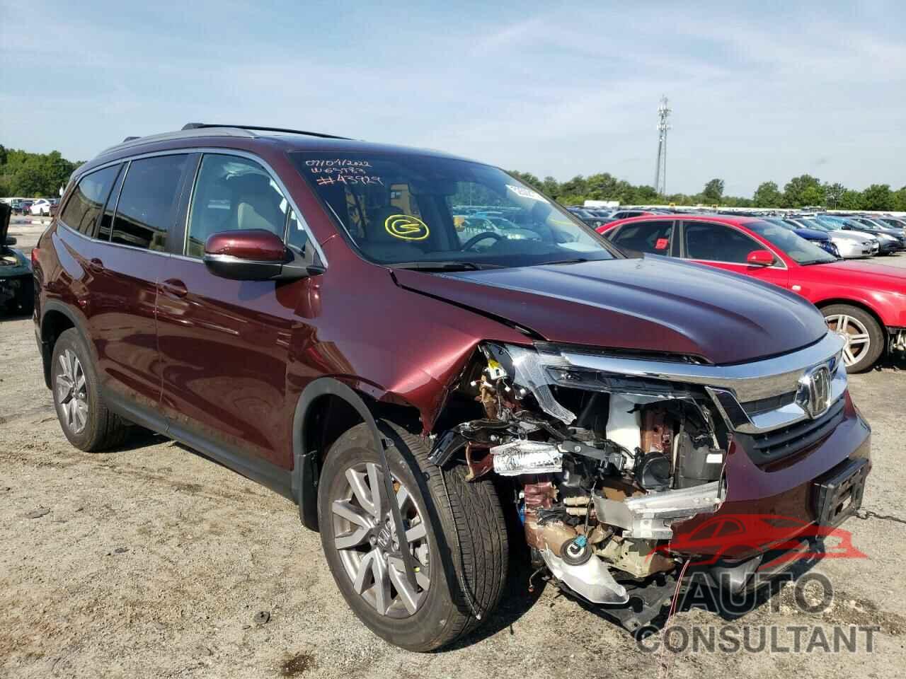 HONDA PILOT 2019 - 5FNYF6H44KB028982