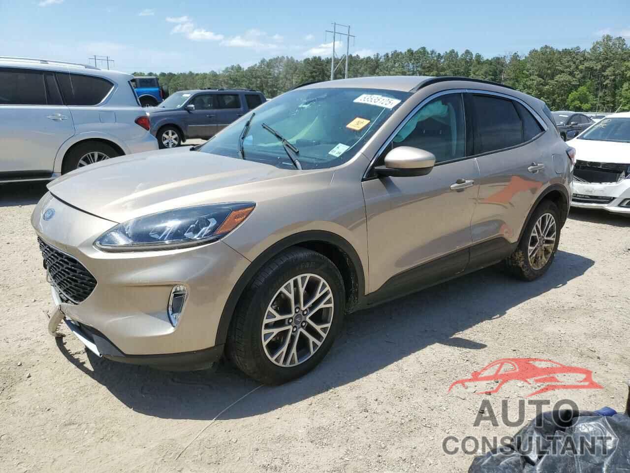 FORD ESCAPE 2021 - 1FMCU0H63MUB08827