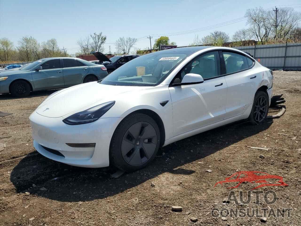 TESLA MODEL 3 2021 - 5YJ3E1EAXMF977983