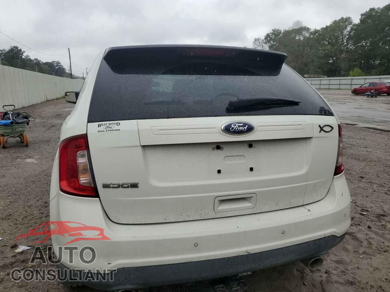 FORD EDGE 2011 - 2FMDK3GCXBBA04793