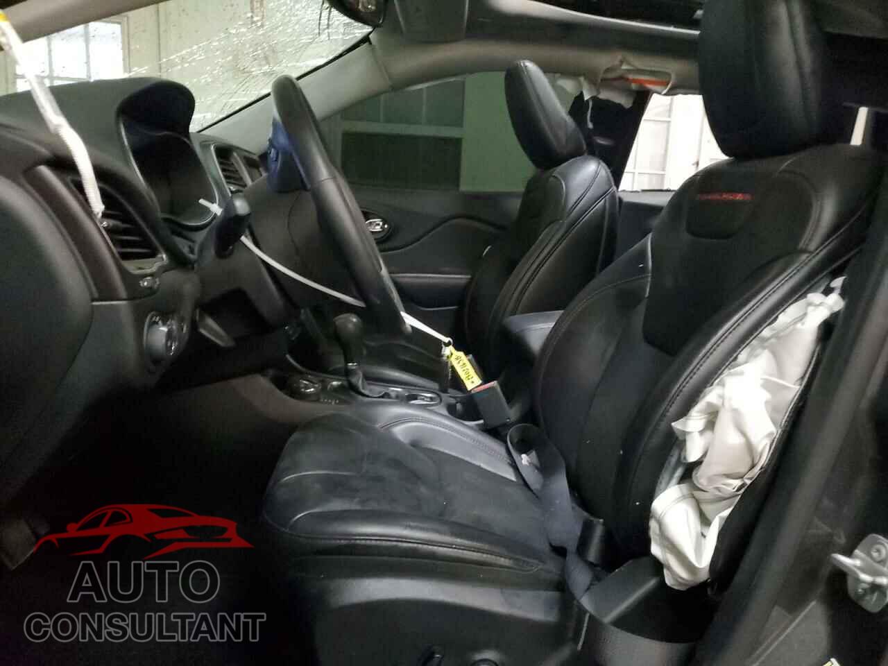JEEP CHEROKEE 2019 - 1C4PJMBX2KD217042