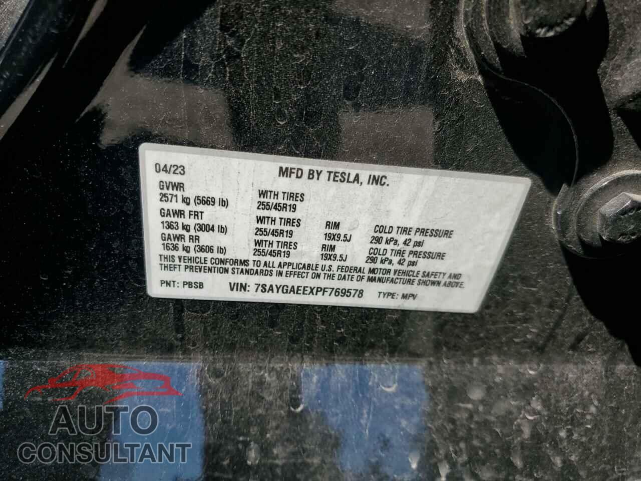TESLA MODEL Y 2023 - 7SAYGAEEXPF769578
