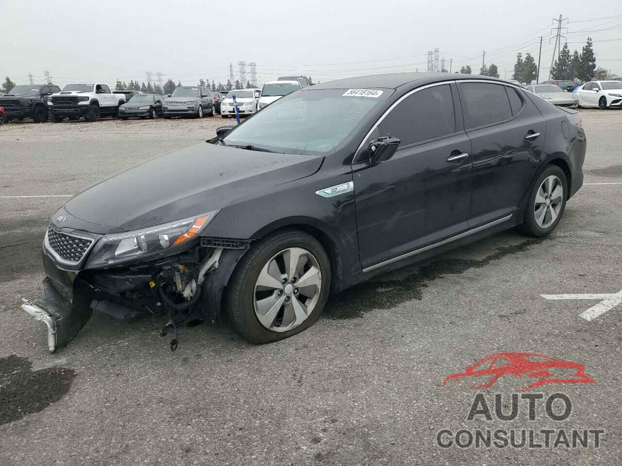 KIA OPTIMA 2016 - KNAGN4AD4G5099229