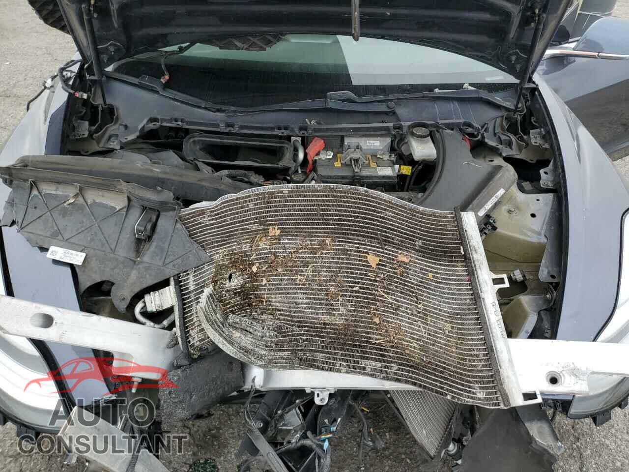 TESLA MODEL 3 2020 - 5YJ3E1EA7LF743475