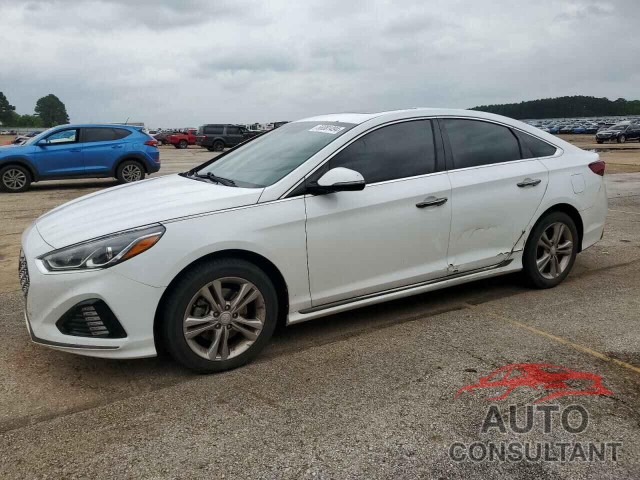 HYUNDAI SONATA 2019 - 5NPE34AFXKH822012