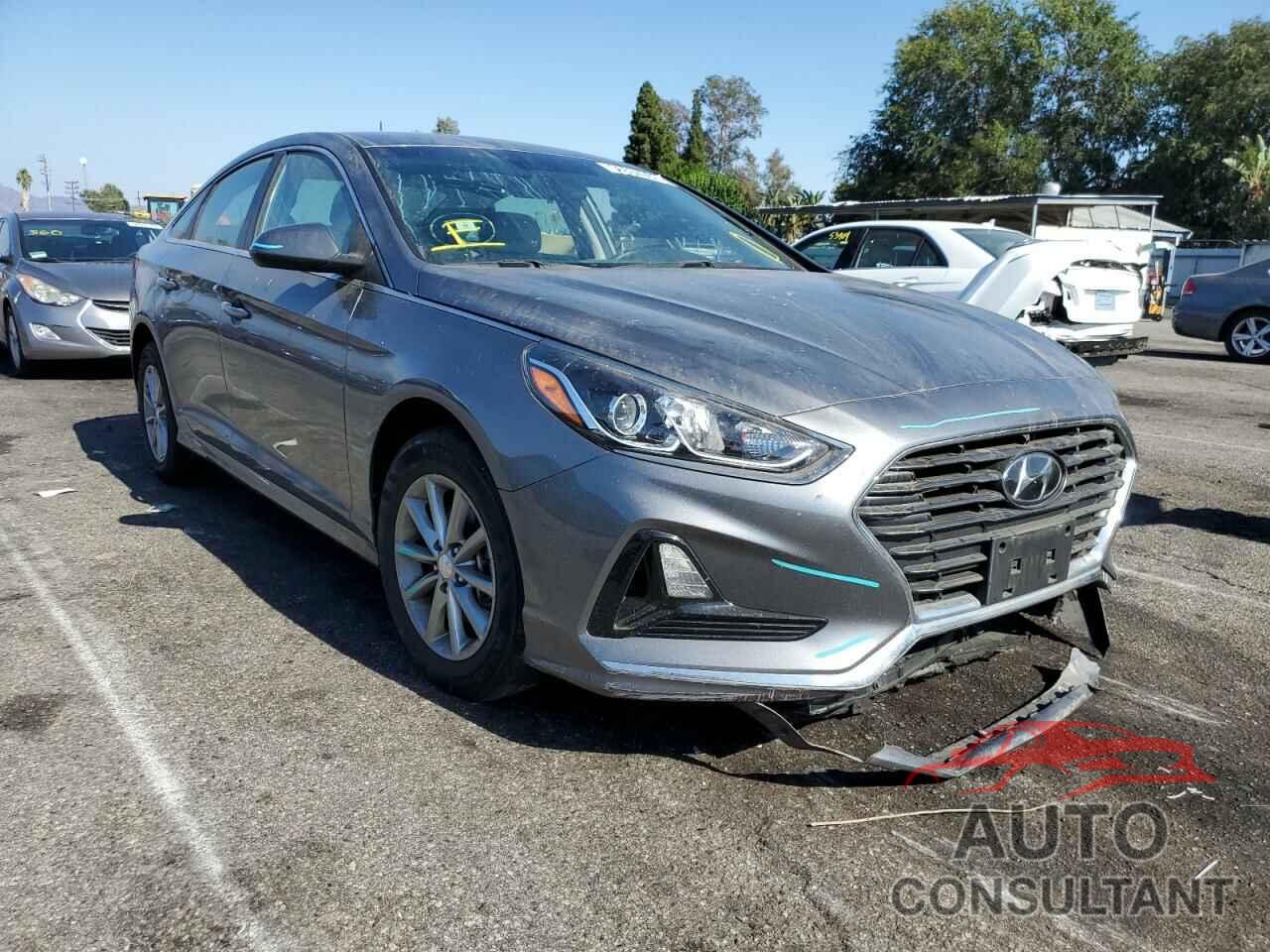 HYUNDAI SONATA 2019 - 5NPE24AFXKH761439